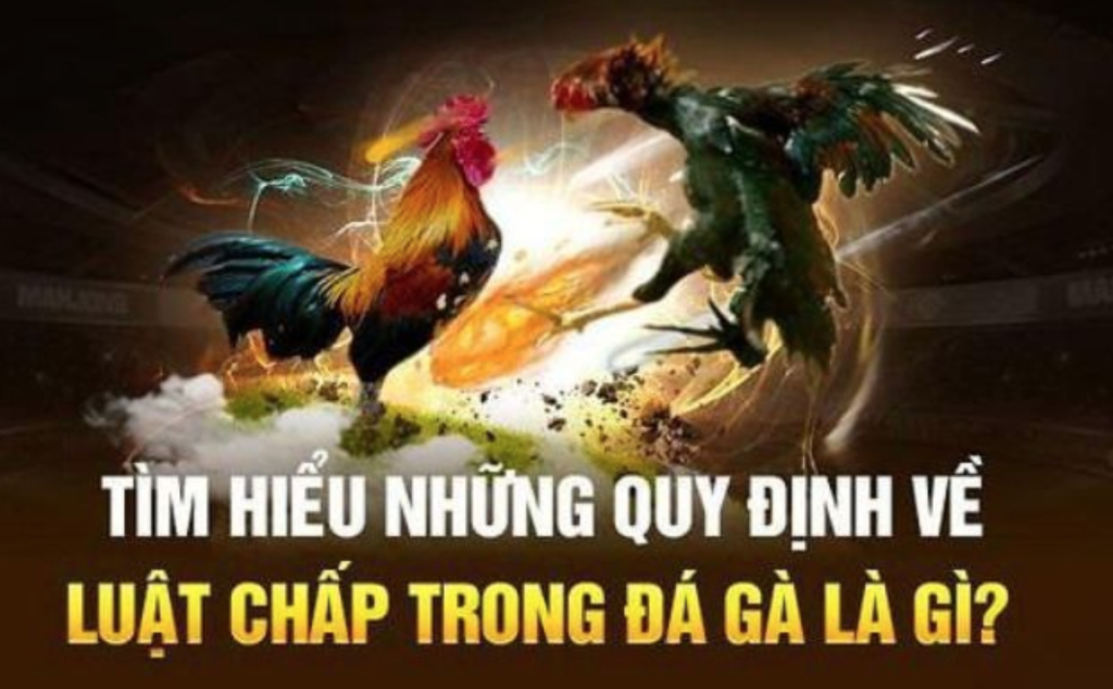 Luật chấp trong đá gà